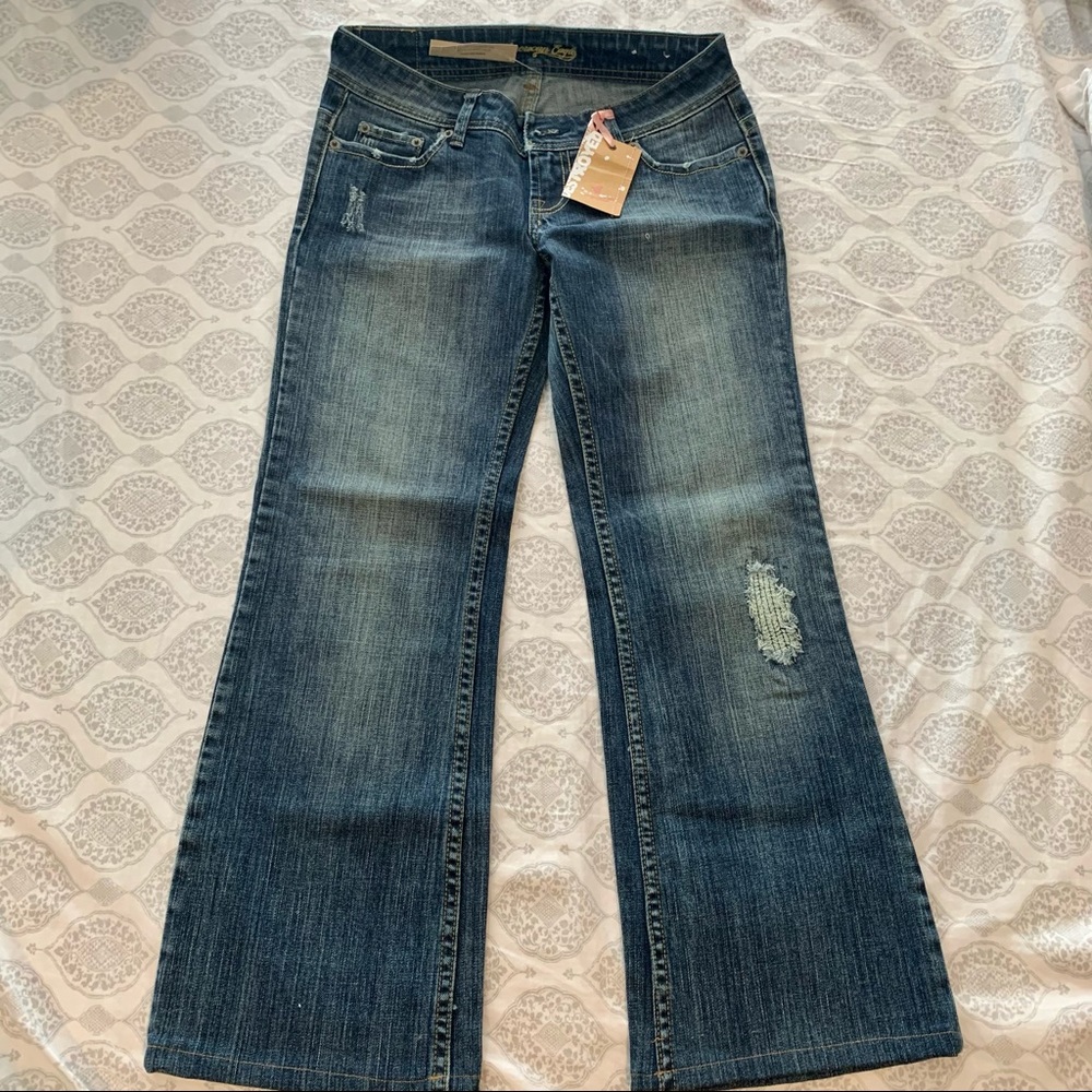 NWT AE Destroyed Flare Jeans Sz 4 (Altered)